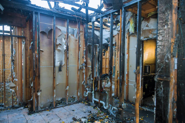 Professional Fire Damage Removal technician working in Foreston, MN